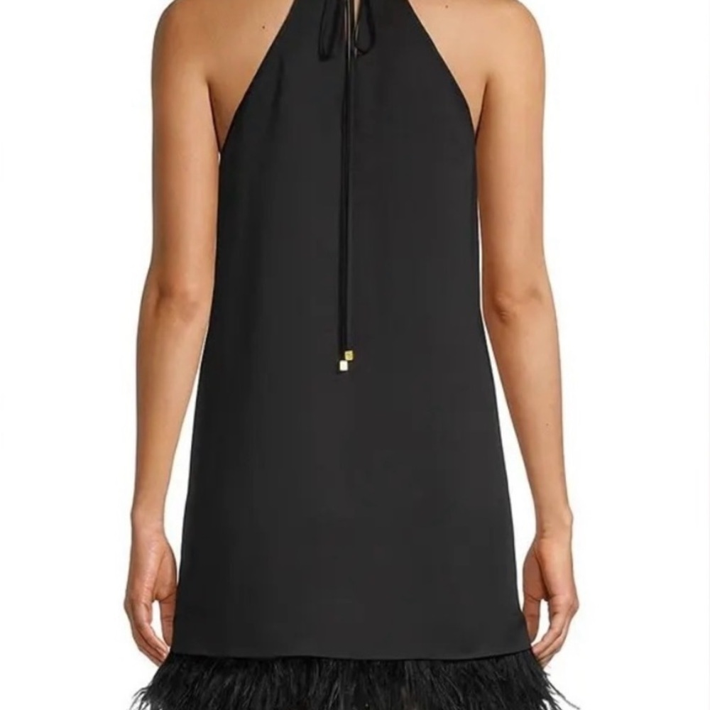 Michael Kors Black
Triangle Feather Dress - Picture 3 of 10